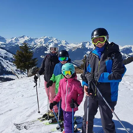 Gasthuis Gaestehaus Alpenblick Wildstrubel 3*