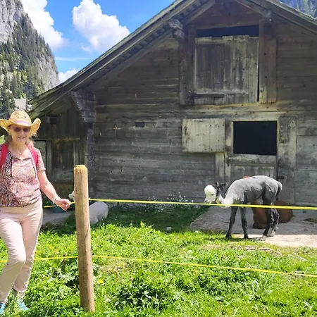 Gasthuis Gaestehaus Alpenblick Wildstrubel 3*