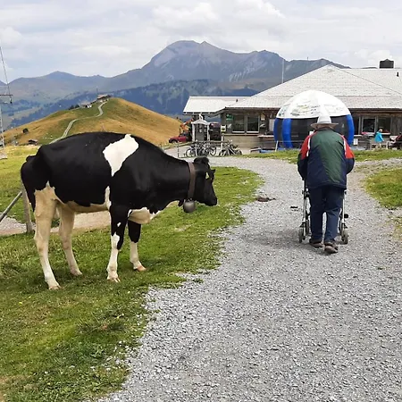 Gaestehaus Alpenblick Wildstrubel 3*