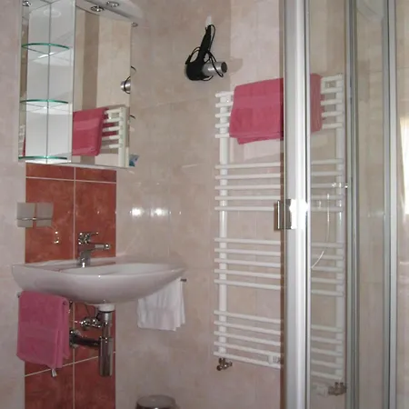 Gaestehaus Alpenblick Wildstrubel בית הארחה 3*