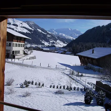 Πανσιόν Gaestehaus Alpenblick Wildstrubel 3*
