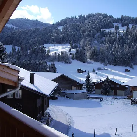 בית הארחה Gaestehaus Alpenblick Wildstrubel 3*