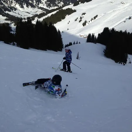 בית הארחה Gaestehaus Alpenblick Wildstrubel Sankt Stephan