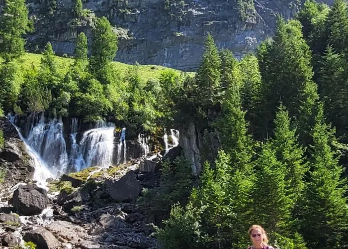 Gaestehaus Alpenblick Wildstrubel Gasthuis 3*